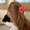Pinteresty Flower Claw Clutchers (Random Color) 3