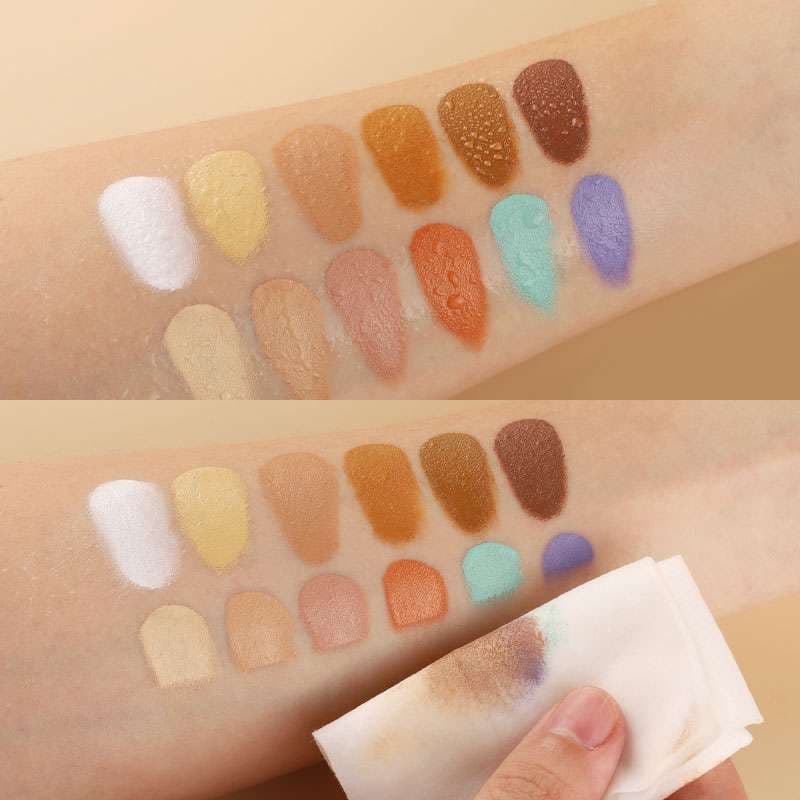 IMAGIC 12 Color Concealer Palette 2