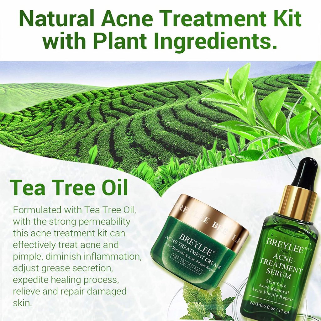 Breylee Tea Tree Oil Acne Solution Kit