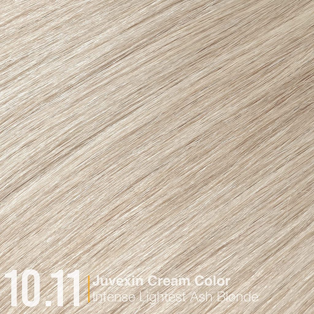 10.11 Lightest Ash Blonde