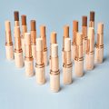 Makeup revolution Fast Base Stick Foundation Cloud Shop BD