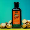 XHC Ginger Anti Dandruff Shampoo – 400ml Cloud Shop BD
