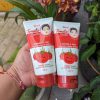 Civic Tomato Smoothie Whitening & Clear facial Foam