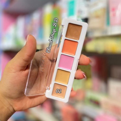 MISS ROSE All Round Conceal Palette - 5 Color - Image 3